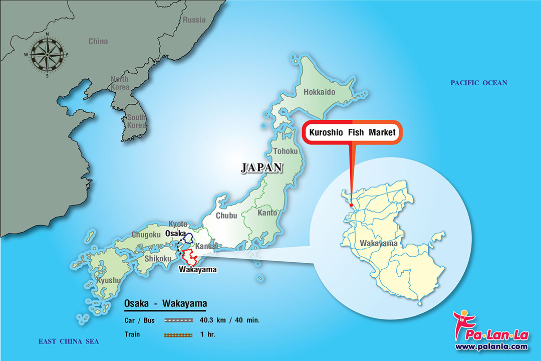 Kuroshio Fish Market